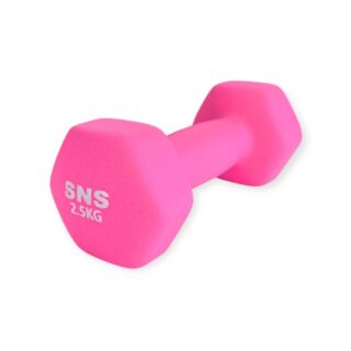 Гантель вінілова МАТОВА SNS 2,5 кг рожева